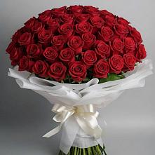 Букет 101 Красная роза Блэк Мэджик в Колосовке