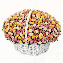 Премиум букет из: Розы в Колосовке