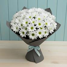 Букет цветов из:  Хризантемы в Колосовке