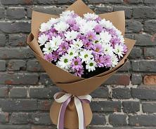 Букет цветов из:  Хризантемы #REPLACE_PRED# Колосовке