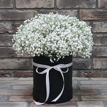 Цветочная композиция из Гипсофила в шляпной коробке в Колосовке