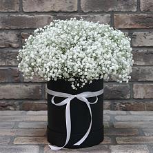 Цветочная композиция из Гипсофила в шляпной коробке в Колосовке