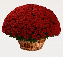 Премиум букет из: Розы в Колосовке